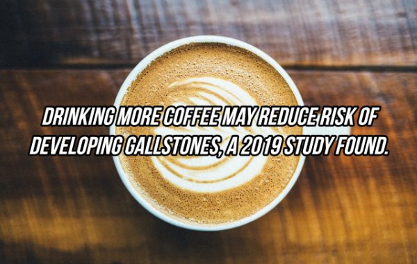 Interesting Facts (24 pics)