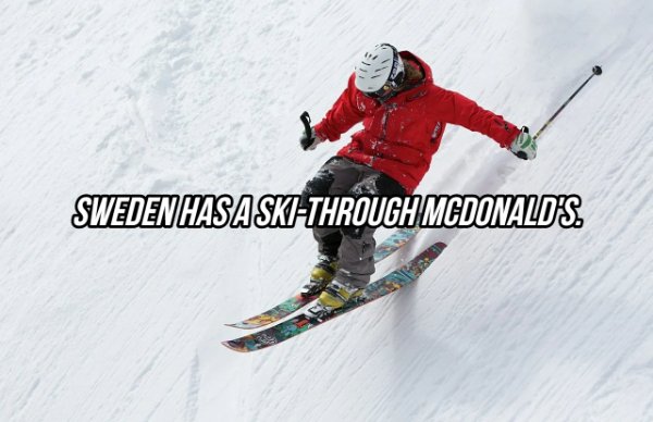 Interesting Facts (24 pics)
