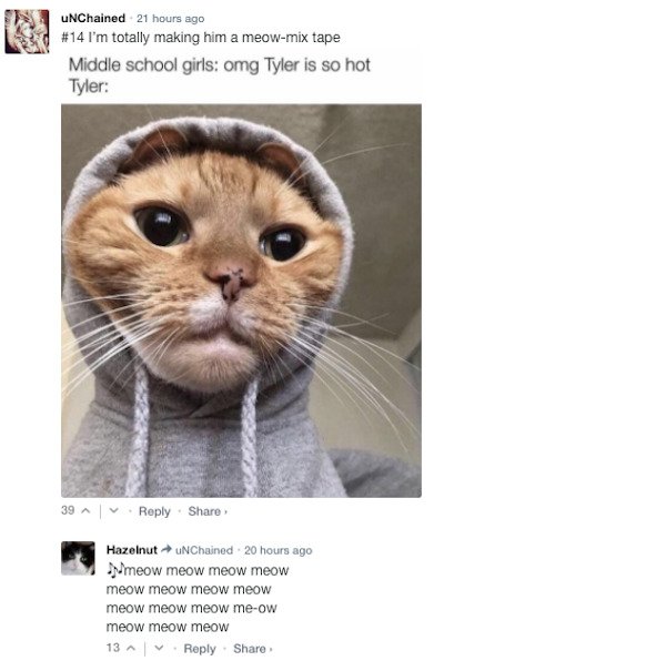 Sarcastic Comments (51 pics)