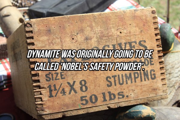 Interesting Facts (24 pics)