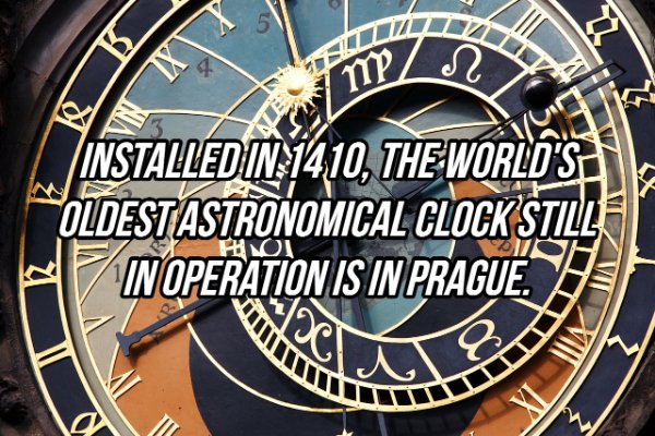 Interesting Facts (24 pics)