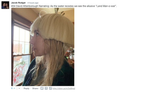 Sarcastic Comments (51 pics)