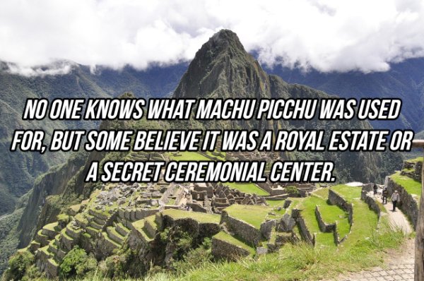 Interesting Facts (24 pics)