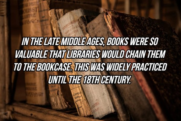 Interesting Facts (24 pics)