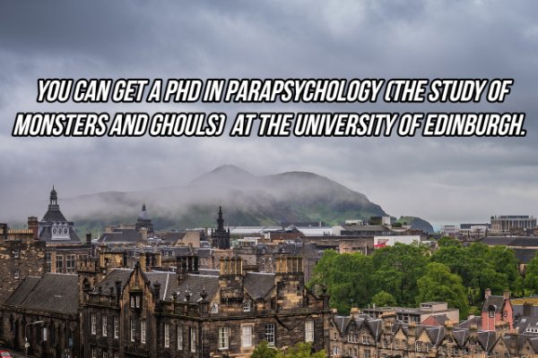 Interesting Facts (24 pics)