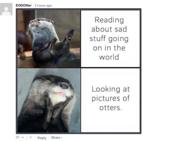Sarcastic Comments (51 pics)