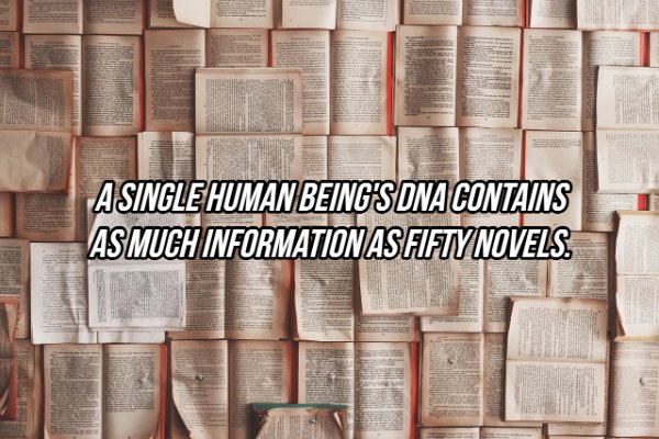 Interesting Facts (24 pics)