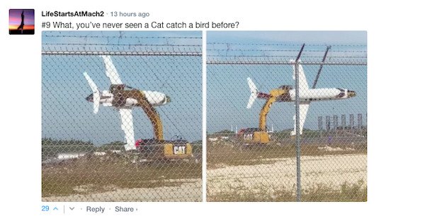 Sarcastic Comments (51 pics)