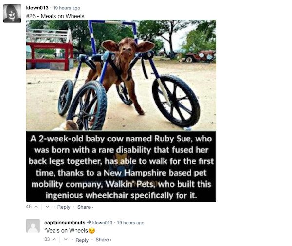 Sarcastic Comments (51 pics)