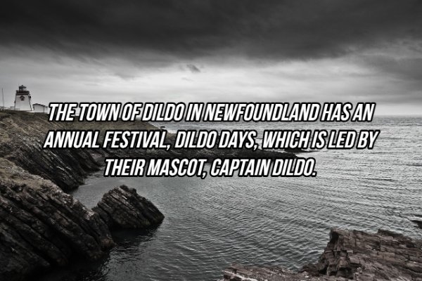 Interesting Facts (24 pics)