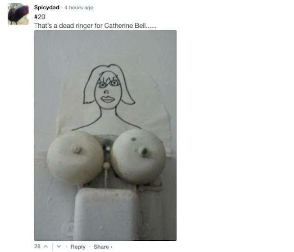 Sarcastic Comments (51 pics)