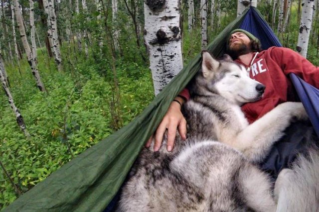 Acid Picdump. Part 2 (94 pics)