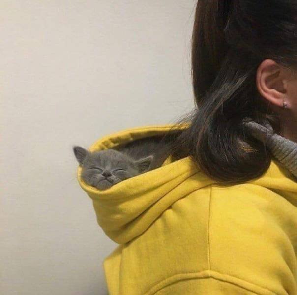 Acid Picdump. Part 1 (92 pics)