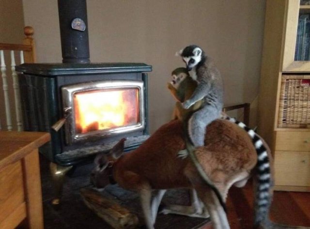 Acid Picdump. Part 2 (94 pics)