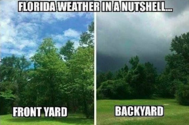 Acid Picdump. Part 2 (94 pics)