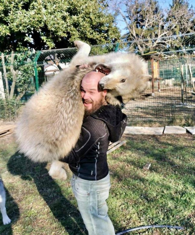 Acid Picdump. Part 1 (92 pics)