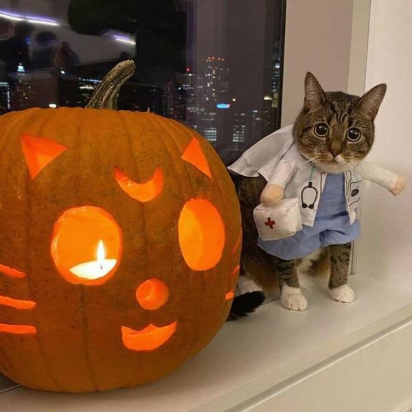 Acid Picdump. Part 1 (92 pics)