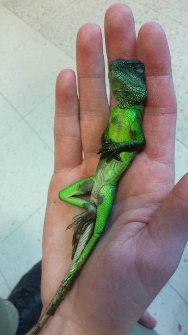 Acid Picdump. Part 1 (92 pics)