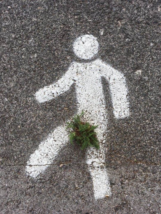 Acid Picdump. Part 2 (94 pics)