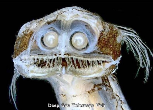Acid Picdump. Part 2 (94 pics)