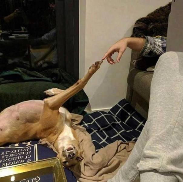 Acid Picdump. Part 1 (92 pics)