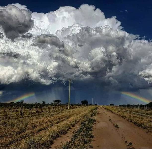 Amazing Pictures (42 pics)