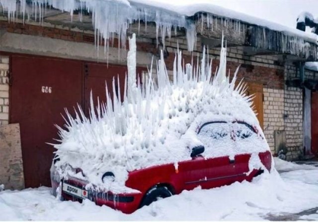 Amazing Pictures (42 pics)