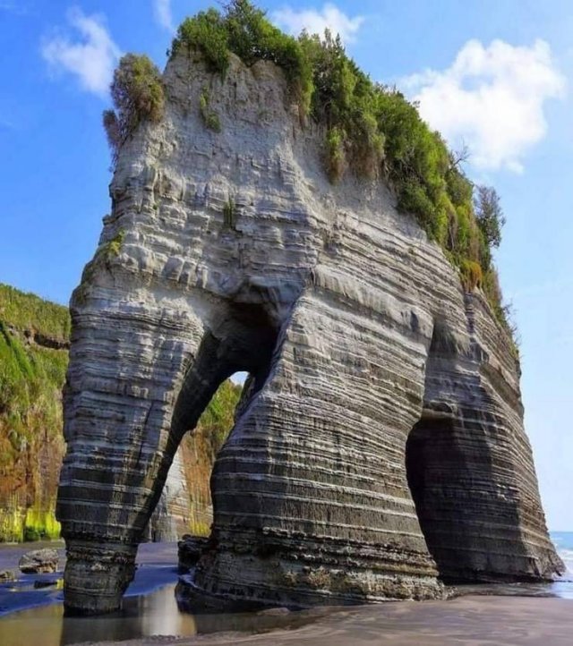 Amazing Pictures (42 pics)