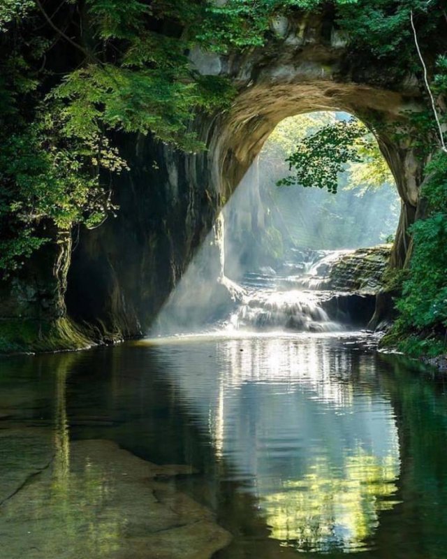 Amazing Pictures (42 pics)