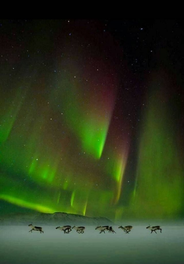Amazing Pictures (42 pics)