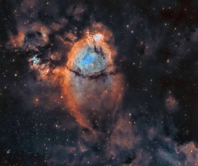 Amazing Pictures (42 pics)