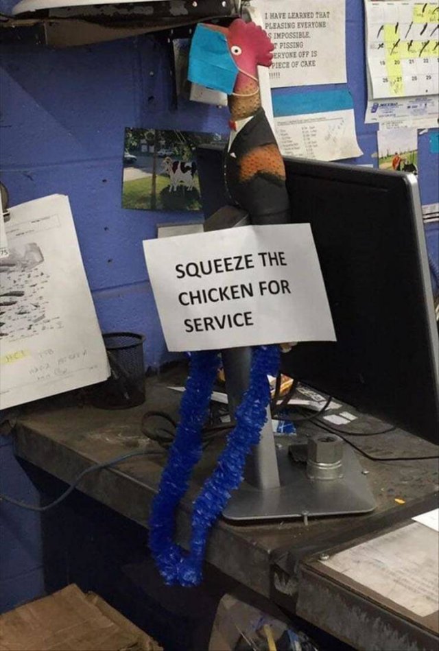 Random Funny Memes (68 pics)