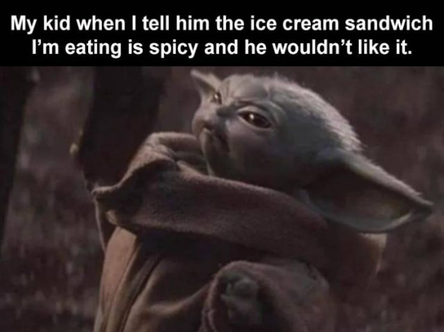 Random Funny Memes (68 pics)