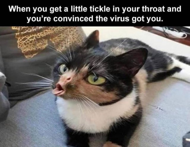 Random Funny Memes (68 pics)