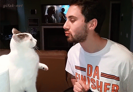 Funny Animals (25 gifs)