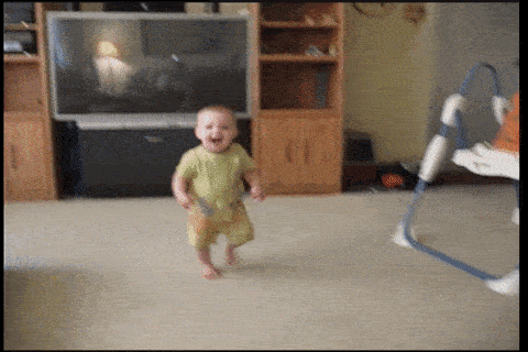Funny Animals (25 gifs)