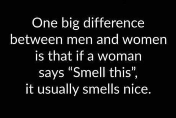 The Difference Between Men And Women (27 pics)