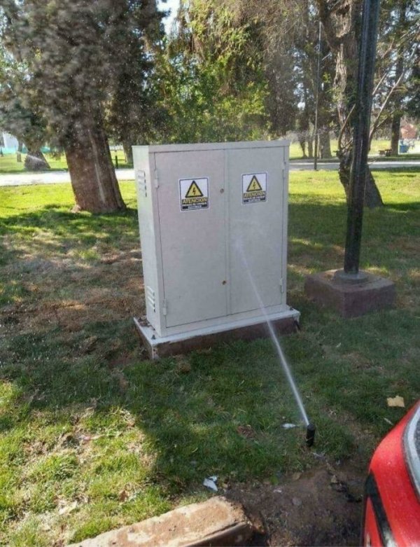 Almost Nailed It (29 pics)