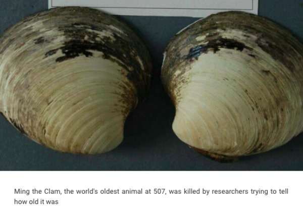 Almost Nailed It (29 pics)