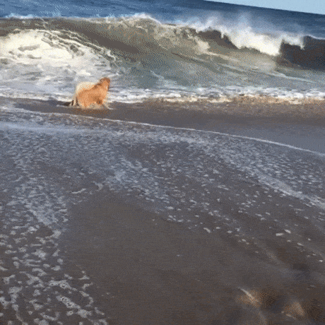 Acid Gifdump, January 12 (25 gifs)