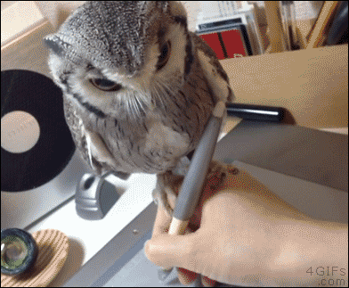 Acid Gifdump, January 12 (25 gifs)