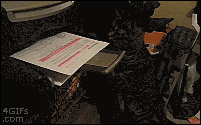 Acid Gifdump, January 12 (25 gifs)