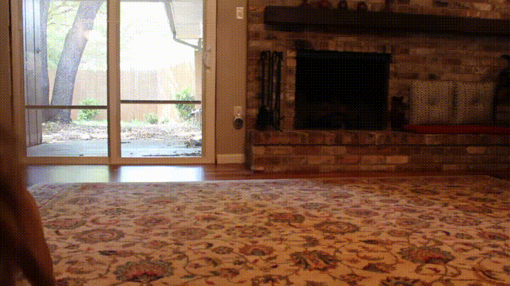 Acid Gifdump, January 12 (25 gifs)