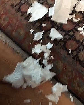Acid Gifdump, January 12 (25 gifs)