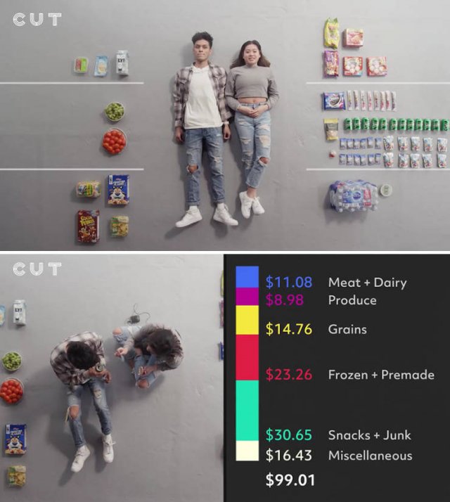 Groceries People Buy For $100 (23 pics)