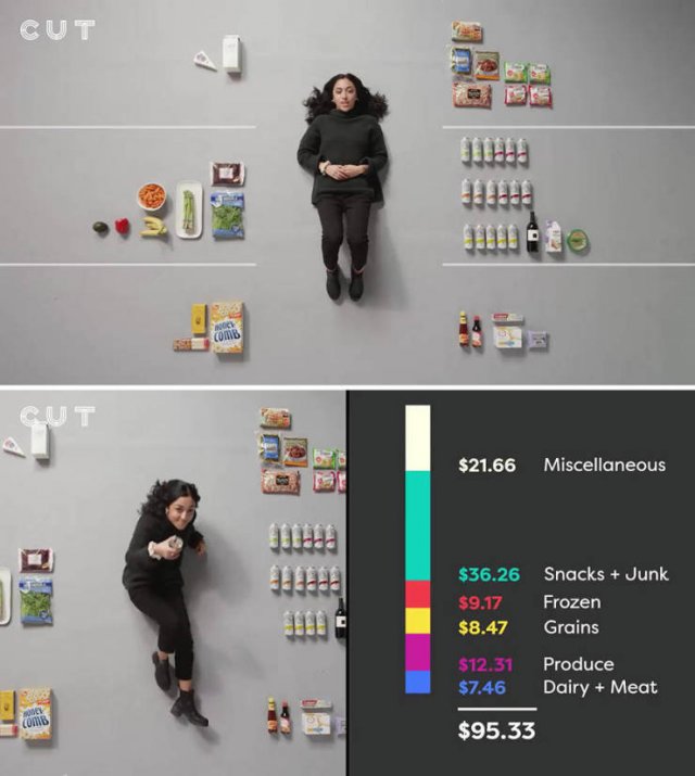 Groceries People Buy For $100 (23 pics)