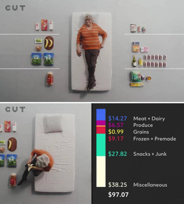 Groceries People Buy For $100 (23 pics)