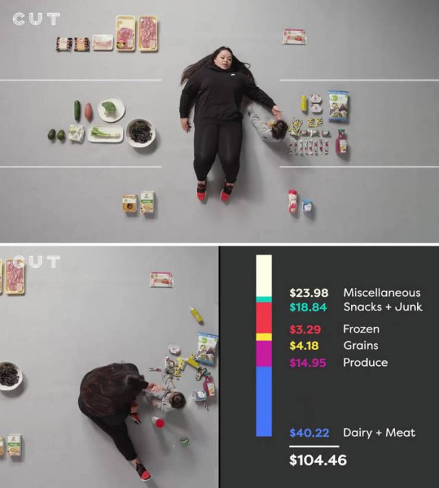 Groceries People Buy For $100 (23 pics)