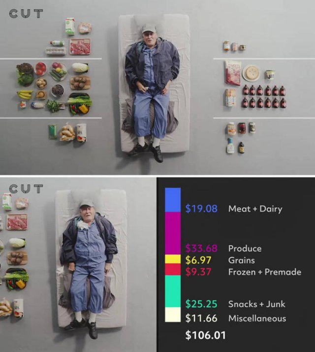 Groceries People Buy For $100 (23 pics)