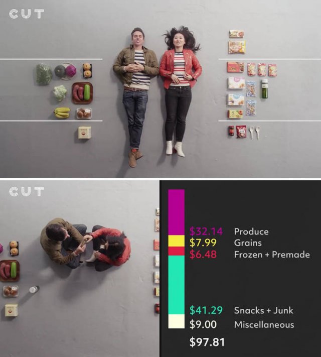 Groceries People Buy For $100 (23 pics)